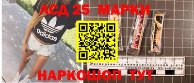 гашик Кулебаки